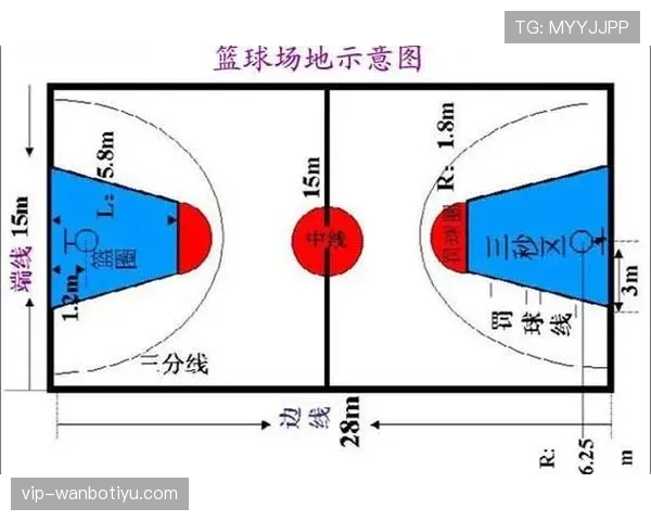 场地尺寸规则详细拆解：不同比赛标准有哪些关键区别？